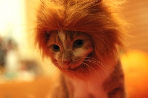 Lucy as lion