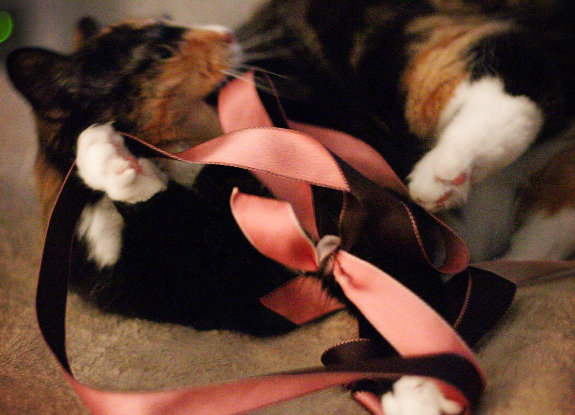 https://www.askamanager.org/wp-content/uploads/2015/03/Olive-with-ribbon.jpg