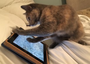 Eve with iPad