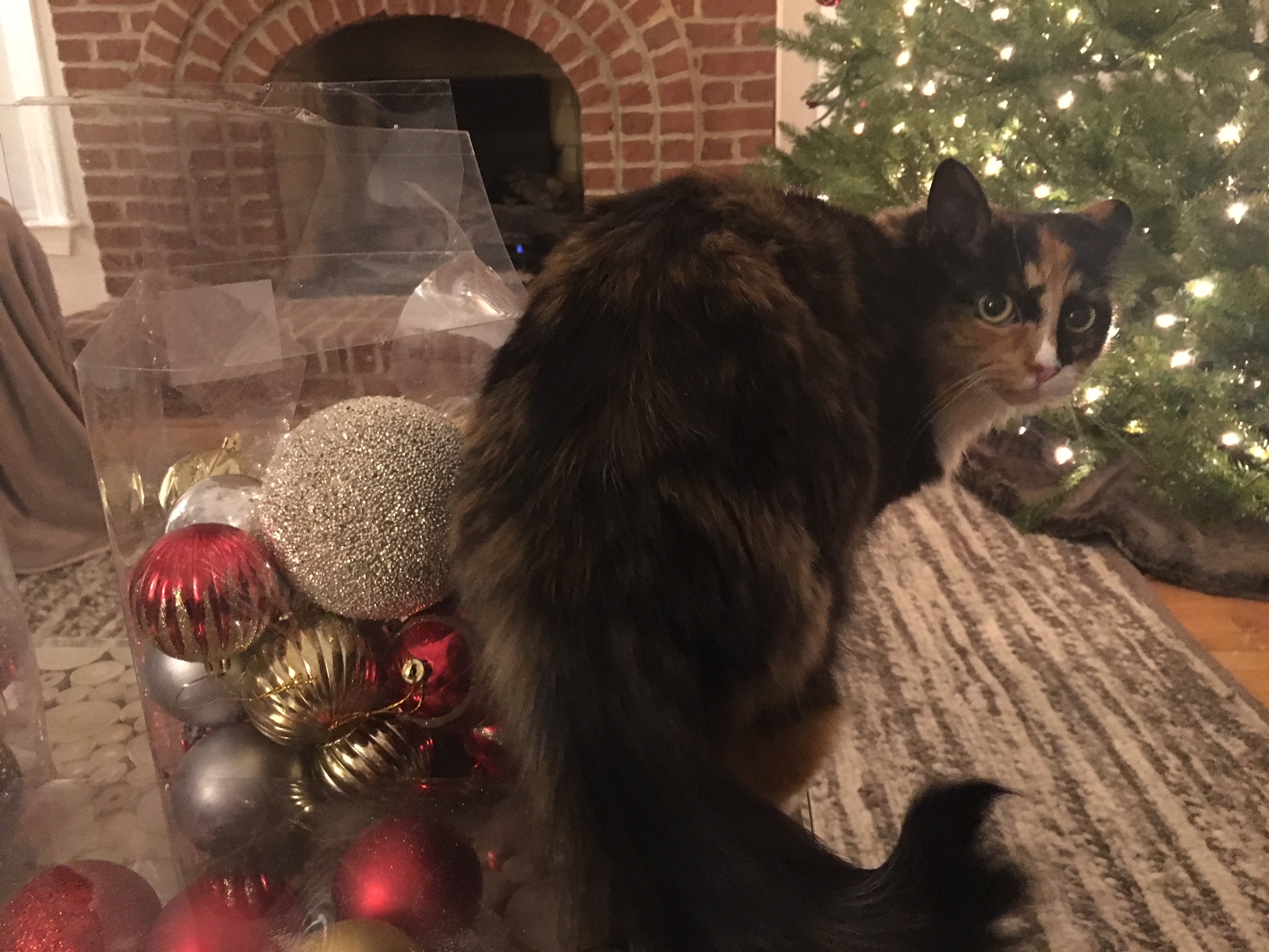 https://www.askamanager.org/wp-content/uploads/2017/12/Olive-prepares-to-decorate-tree.jpg