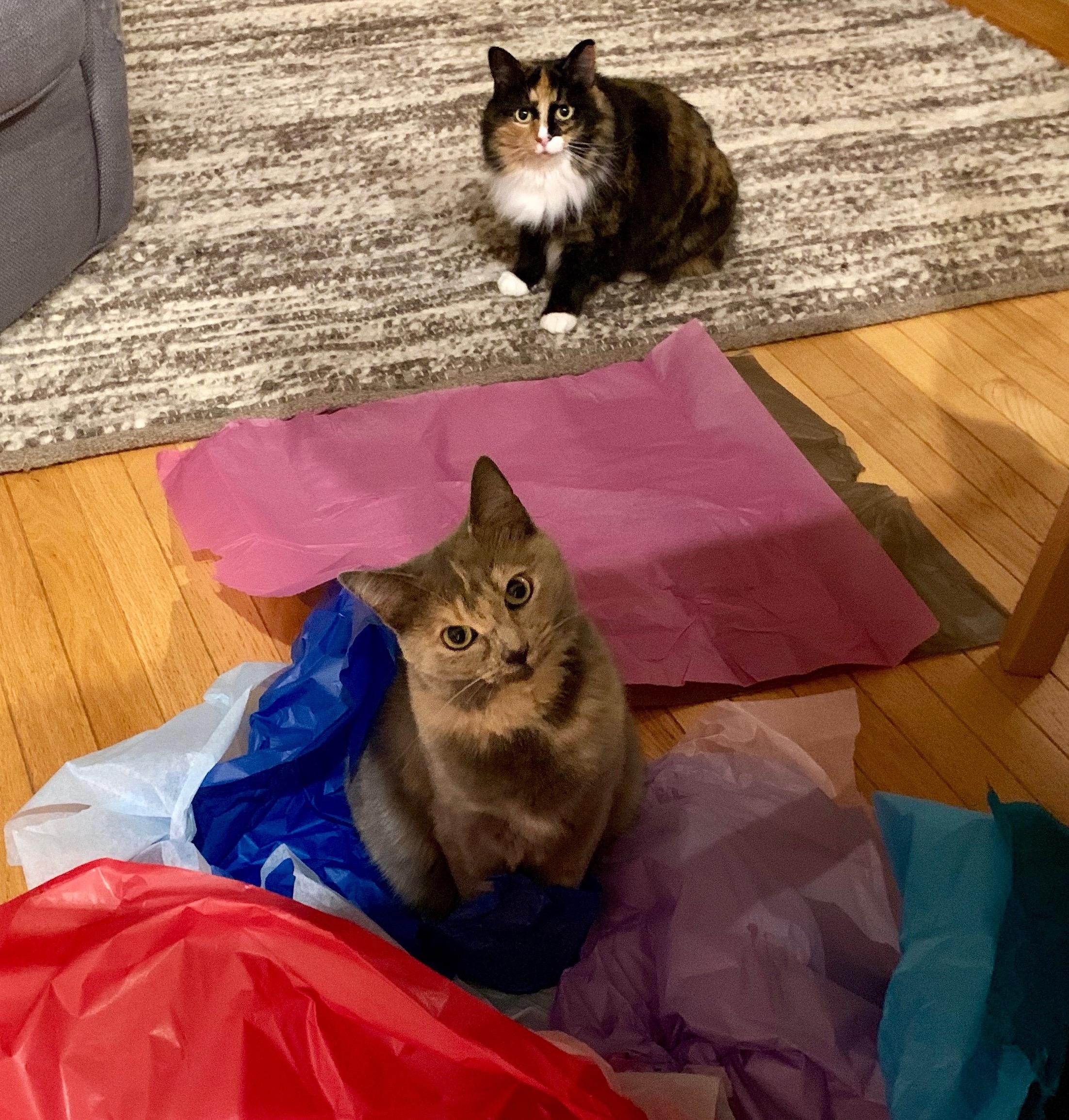 Are your paper leaf bags rotting before the city picks them up? Temporarily  cover them with plastic bags to keep rain out. : r/lifehacks